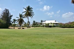 Tobago Plantations 4th Green